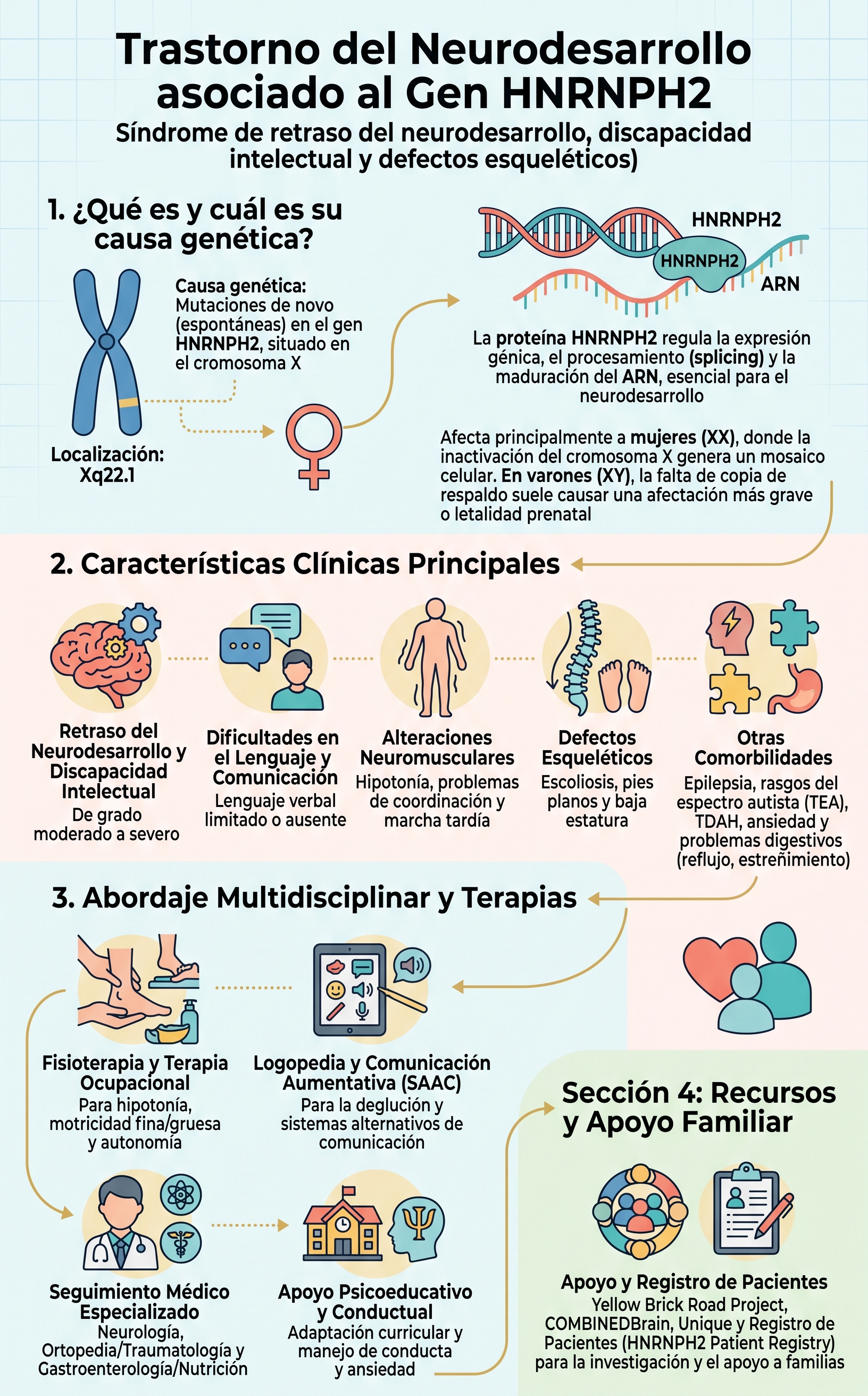 Información sobre el Trastorno del Neurodesarrollo asociado al gen HNRNPH2 - generada con Gemini IA