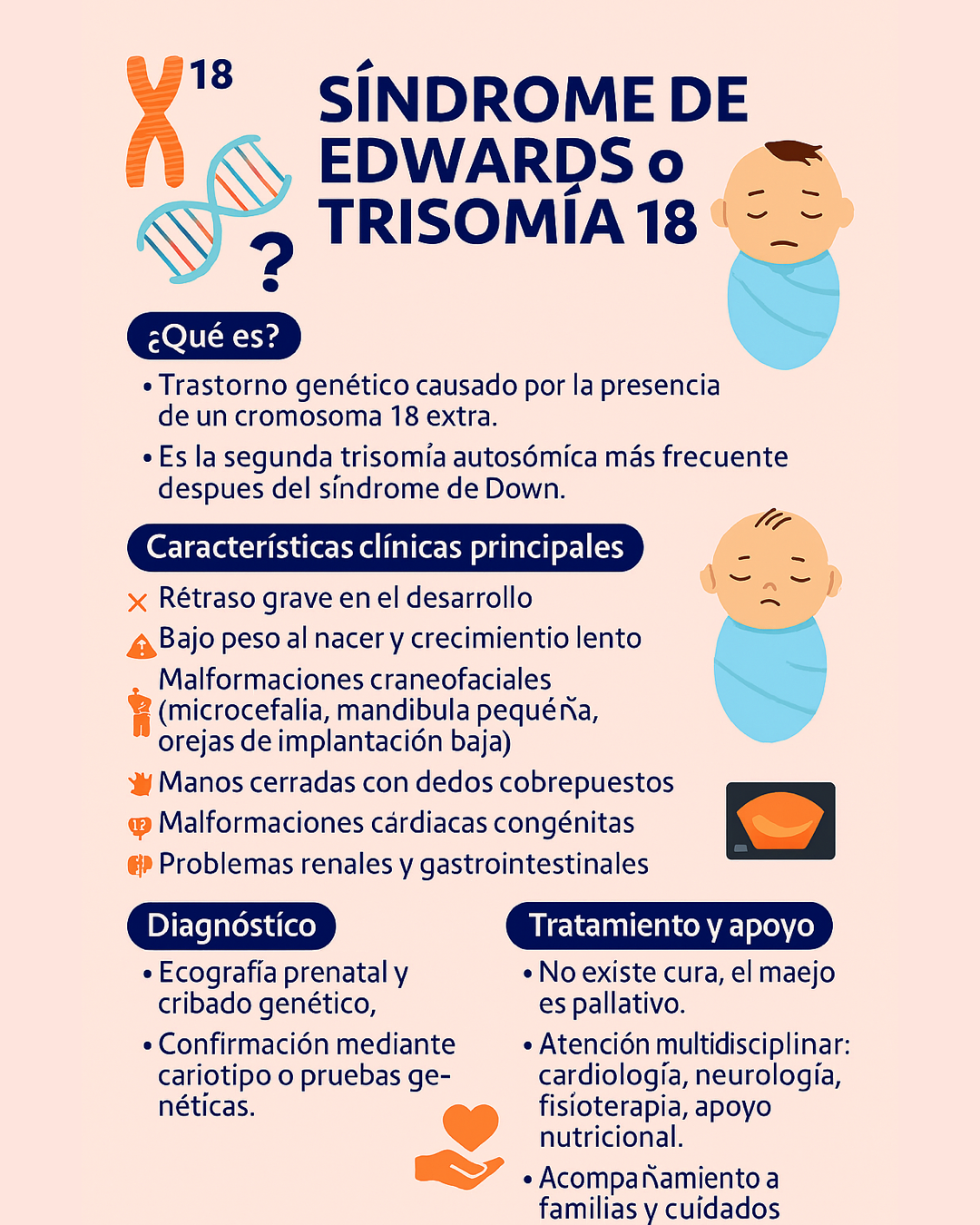Dia18MarSdEdwards