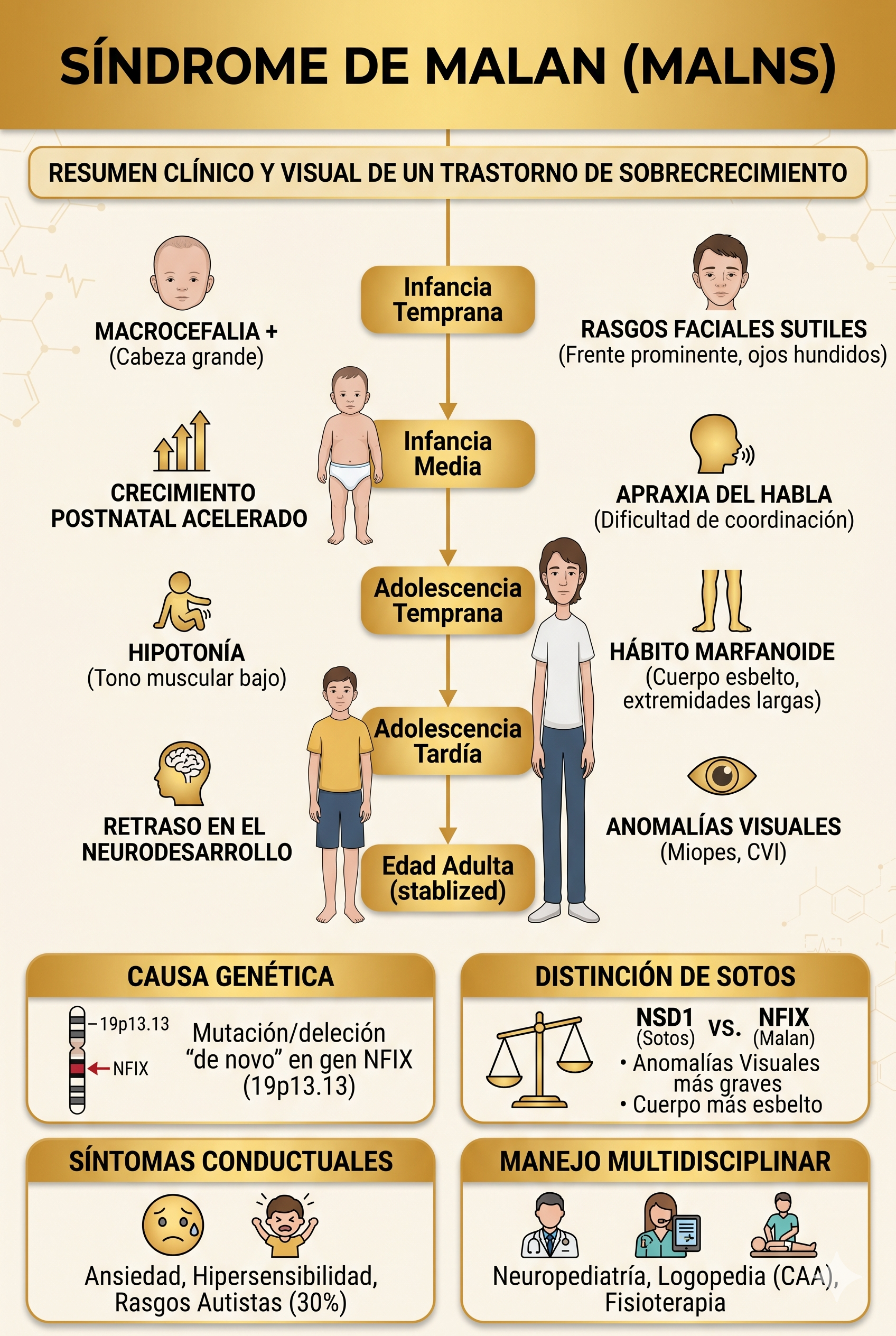 Imagen resumen sobre el Síndrome de sobrecrecimiento de Malan - generada con Gemini IA