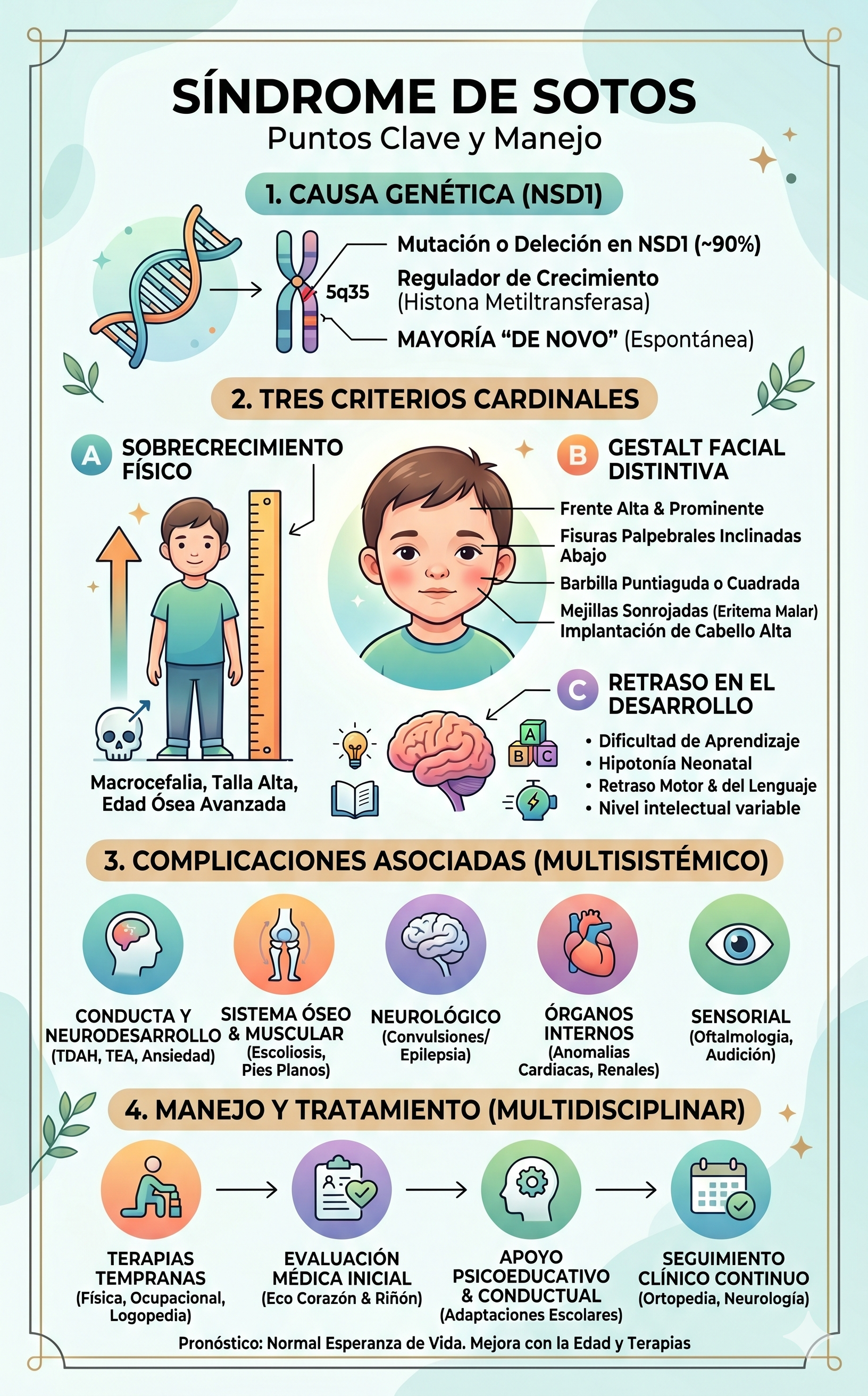 Imagen resumen sobre el síndrome de Sotos - generada con Gemini IA
