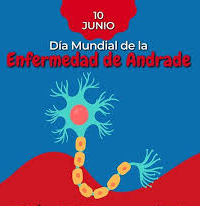 10Junio Andrade