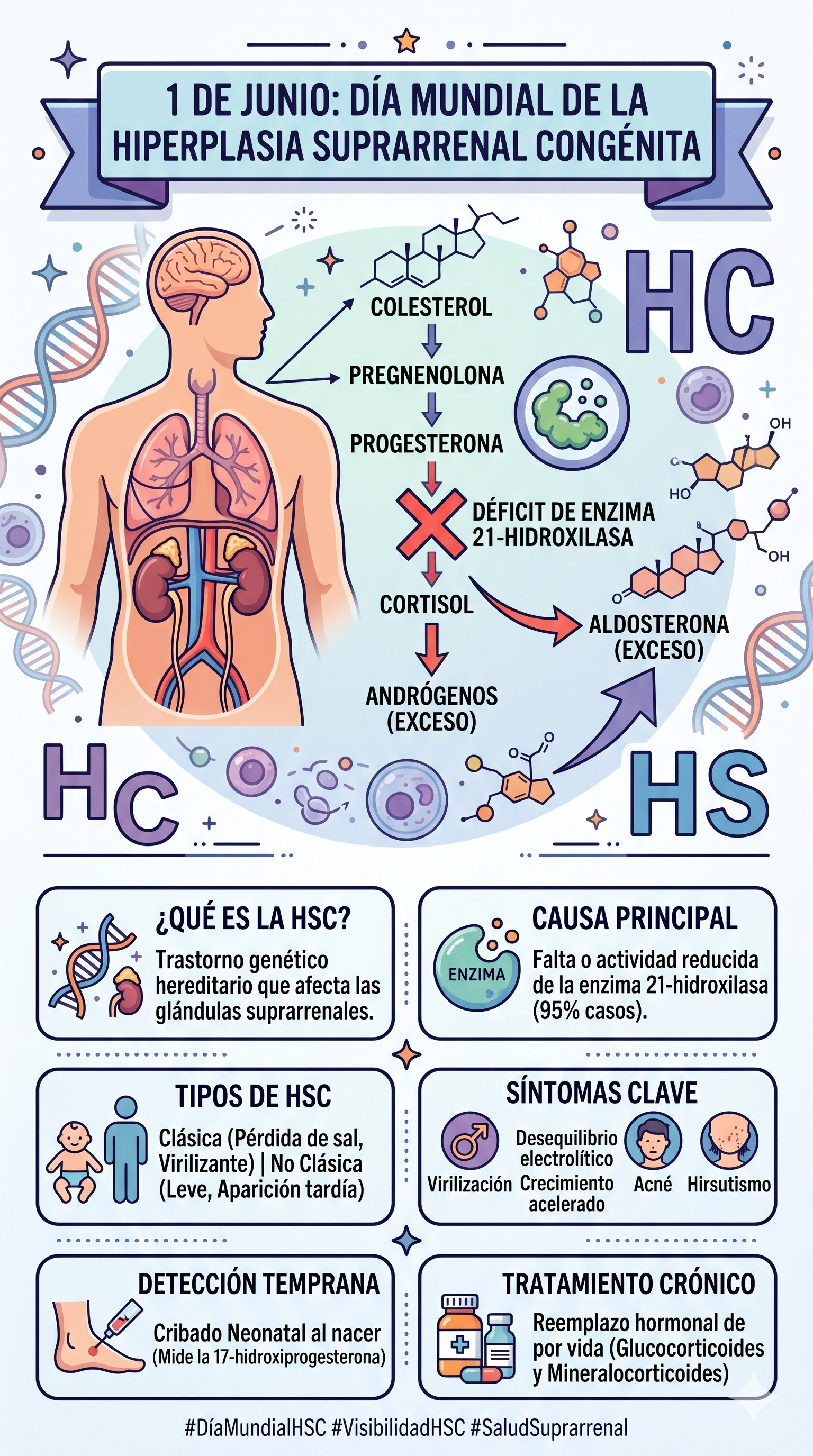 Imagen resumen sobre la Hiperplasia Suprarrenal Congénita (HSC) en su día mundial - generada con Gemini IA
