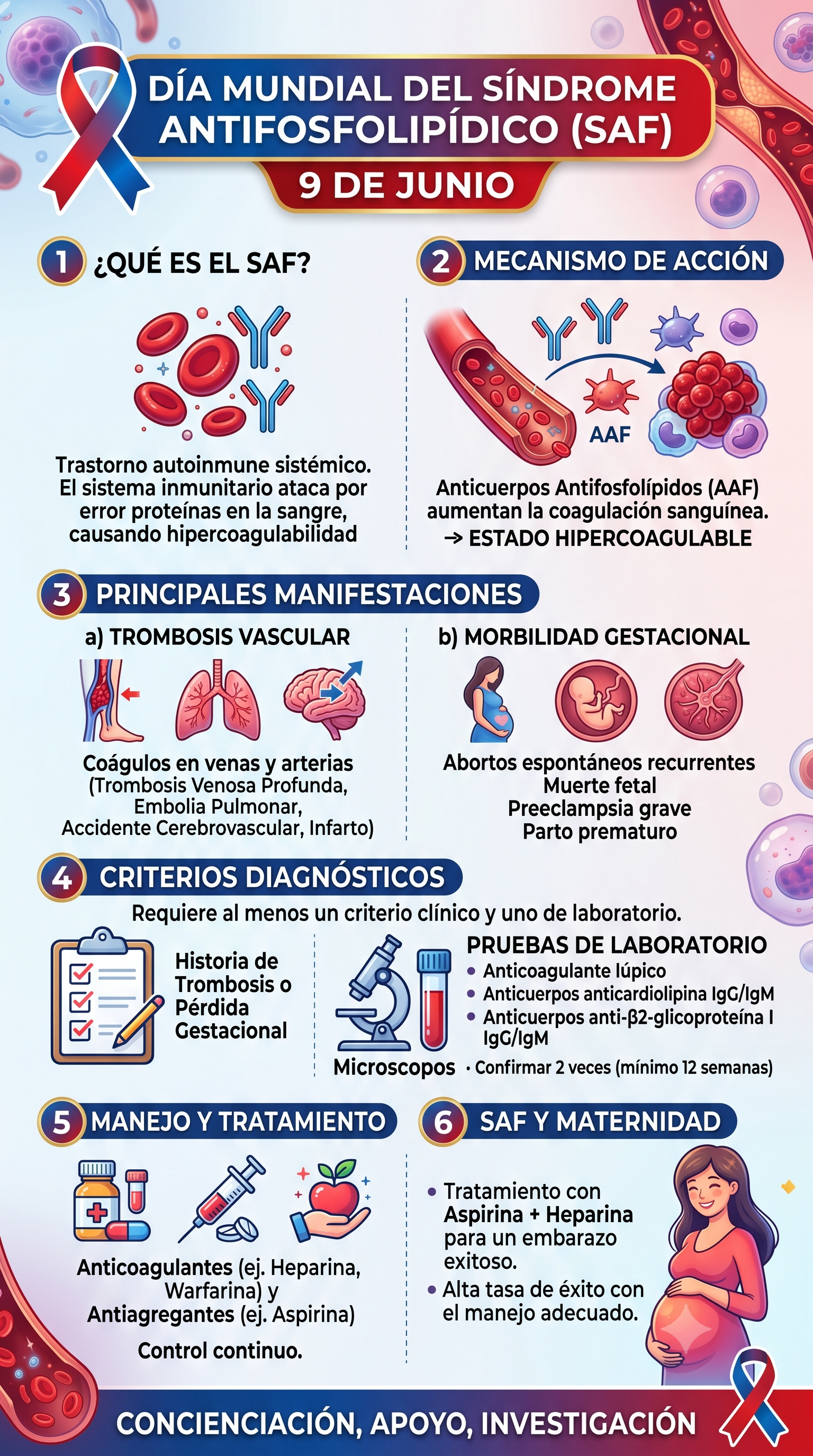 Imagen resumen sobre el síndrome antifosfolípidico en su día mundial - Generada con Gemini IA