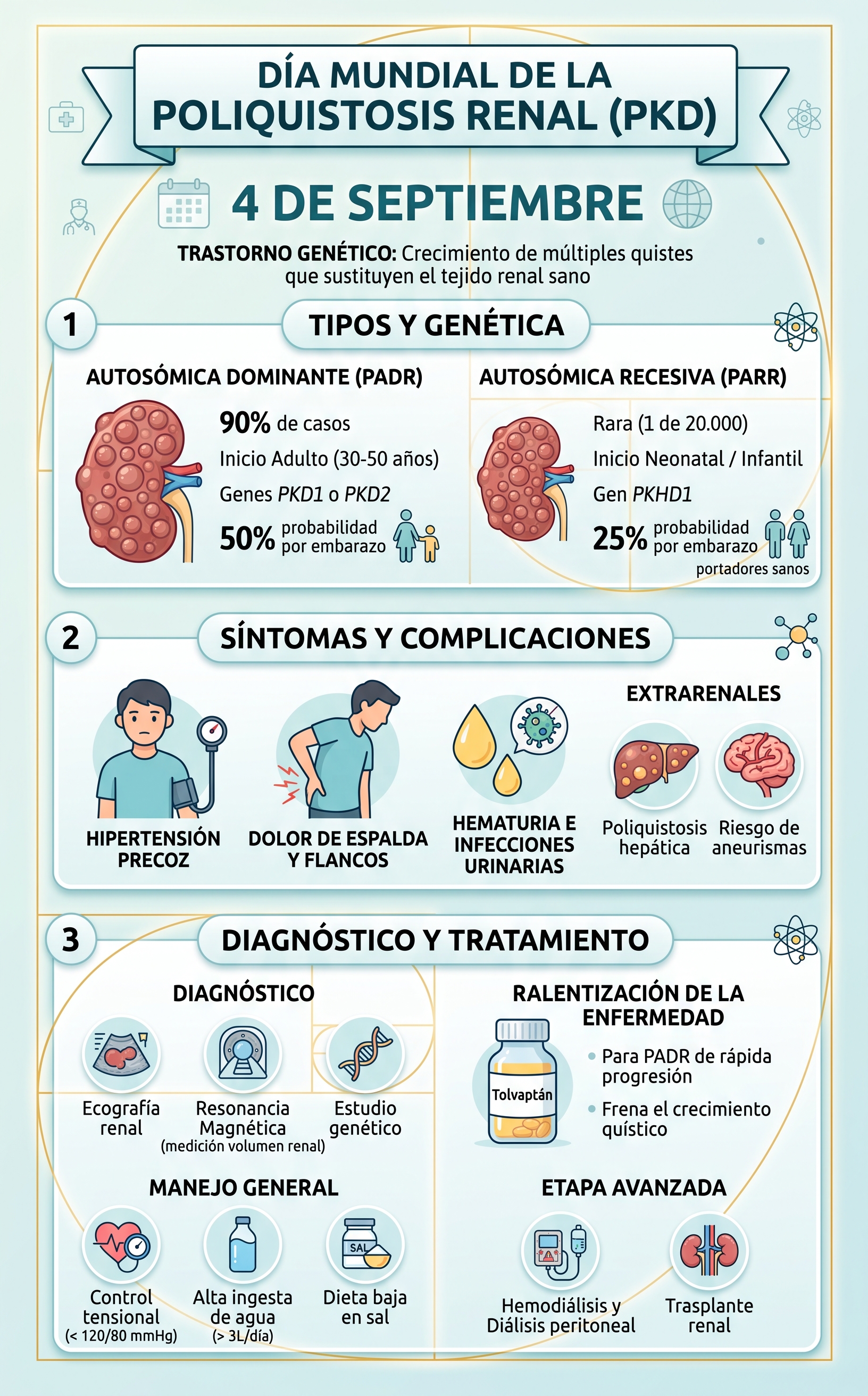 Imagen resumen sobre la poliquistoris renal en su día mundial - generada con Gemini IA