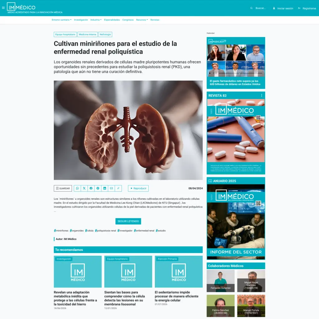 Cultivan miniriñones para el estudio de la enfermedad renal poliquística
