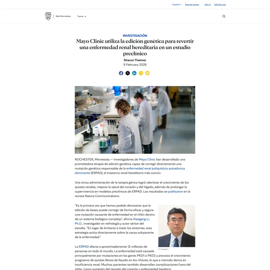 Mayo Clinic utiliza la edición genética para revertir una enfermedad renal hereditaria en un estudio preclínico