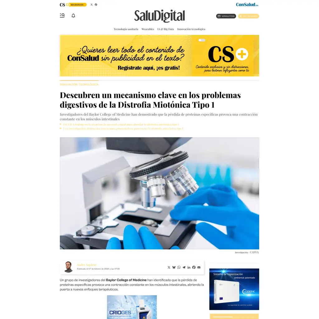 Descubren un mecanismo clave en los problemas digestivos de la Distrofia Miotónica Tipo 1